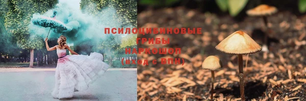 мяу мяу мука Арсеньев