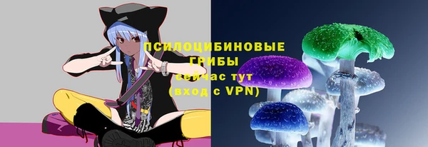 Альфа ПВП Зерноград