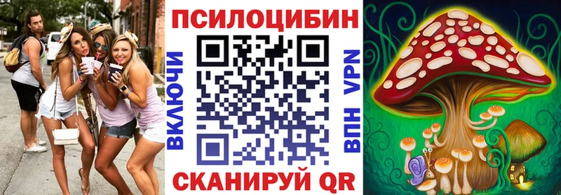 hydra как войти  Новороссийск  Псилоцибиновые грибы прущие грибы  где можно купить  